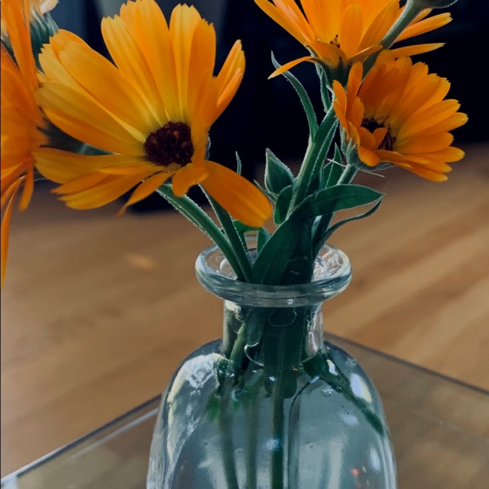 Meet your Posher, Robin